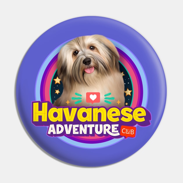 Havanese dog Pin by Puppy & cute