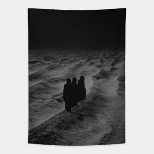 Dust Tapestry