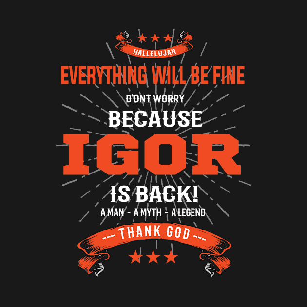 Everything will be fine Igor Is back by Tolan79 Magic Designs