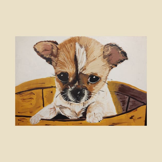 Chihuahua baby by crystalwave4