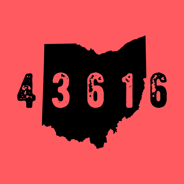 43616 Zip Code Toledo Ohio by OHYes