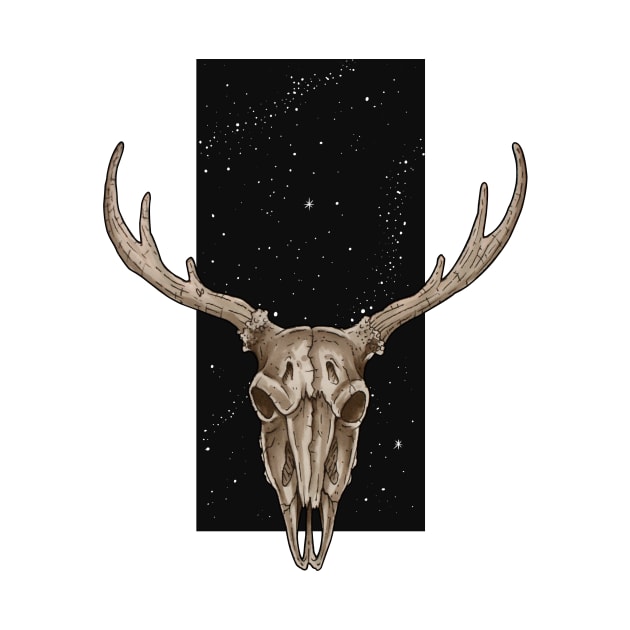 Deer skull by Dracuria