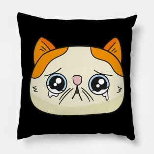 Teary eyed cat Pillow