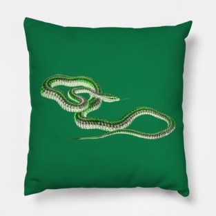 serpent,cobra,reptile,viper,venom,lizard,rattlesnake,king cobra Pillow