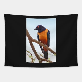 Hildebrandt's Starling, Serengeti, Tanzania Tapestry