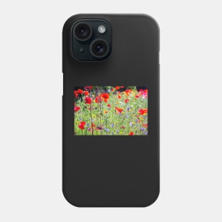 Summer meadow flowers in Yorkshire,UK Phone Case