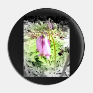 pink bleeding hearts #2 Pin