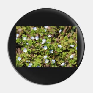 Tiny Blue Flower Meadow Pin