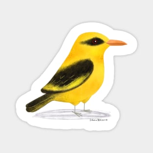 Golden Oriole Bird Magnet