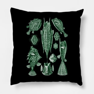 Ernst Haeckel Ostraciontes Fish Green Pillow