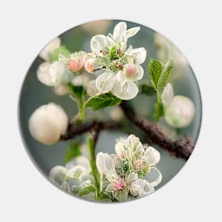 Blossoming branch of an apple tree - spring motif II Pin