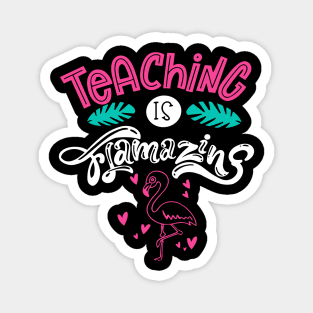 teaching is flamazing Magnet