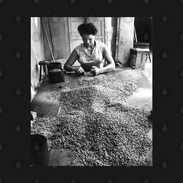 Vintage Photo of Woman Sorting Coffee by In Memory of Jerry Frank