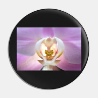 Purple orchid flower Pin