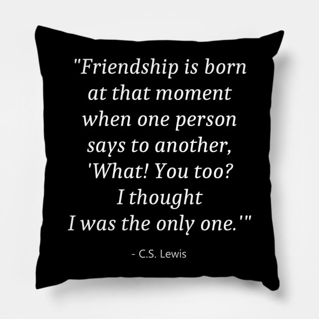 Friendship Day Pillow by Fandie