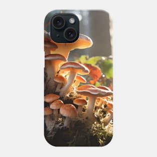 Mushroom Forest Nature Serene Tranquil Phone Case