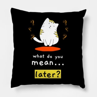 What Do You Mean Later Pillow