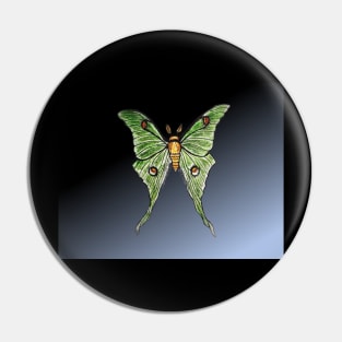 Luna moth at night Pin