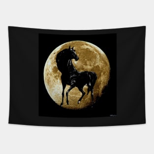 Horse:  Black Beauty and a Harvest Moon Tapestry