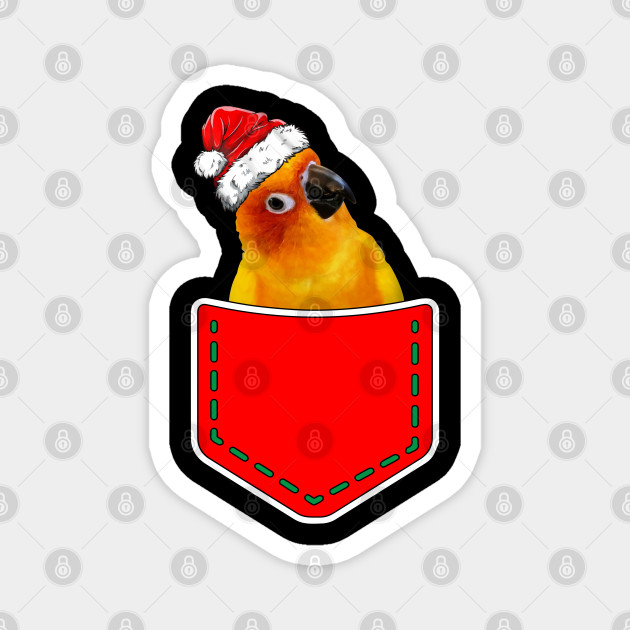sun conure sweater