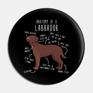 Chocolate Labrador Retriever Dog Anatomy Pin