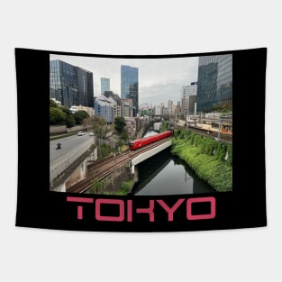 Moat and subway, Tokyo Tapestry