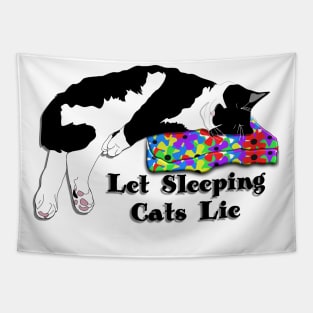 Let sleeping Cats Lie Cute tuxedo cat copyright by TeAnne Tapestry