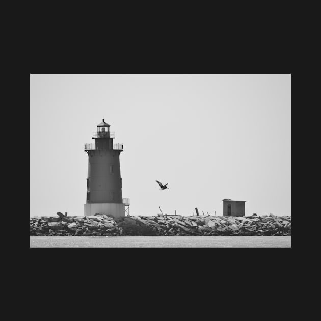 Light Gray - Cape Henlopen Lighthouse by BeachBumPics