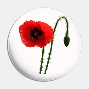 Red Poppy and Bud Pin