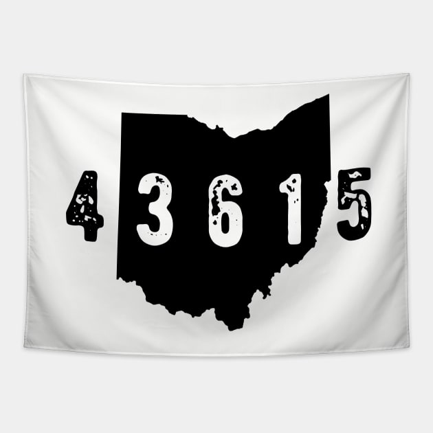 43615 Toledo Zip Code Tapestry by OHYes