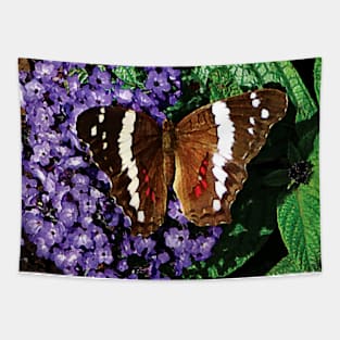 Butterflies - Black Butterfly on Heliotrope Tapestry