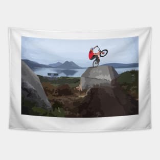 Danny MacAskill Painting Tapestry