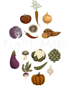 plant-based Magnet