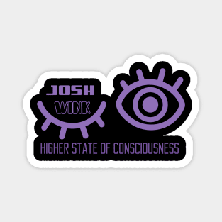 Josh Wink Higher State of Consciousness Magnet