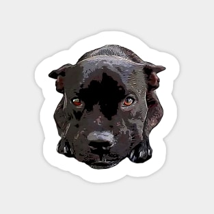 Staffy Looking Cute! Magnet