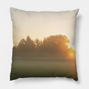 foggy meadow Pillow