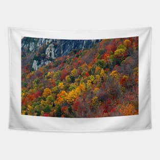 Foliage - Lake Willoughby, Vermont Tapestry