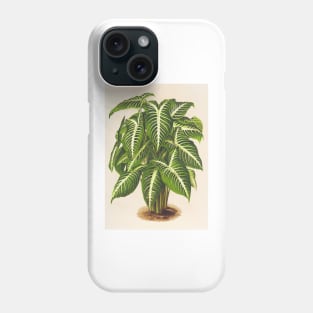 Caladium lindenii - Botanical Illustration Phone Case