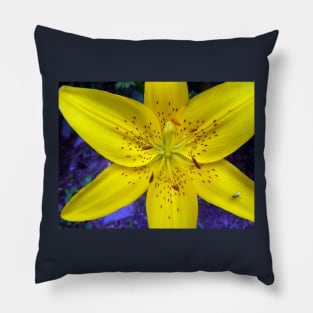 Yellow Flower Tiger Lily on Blue Background Day Lily Flowers Pillow