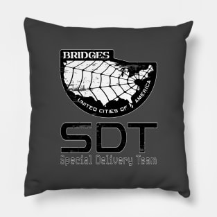 SDT logo - White border. Pillow