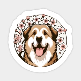 Central Asian Shepherd Dog Welcomes Spring with Cherry Blossoms Magnet