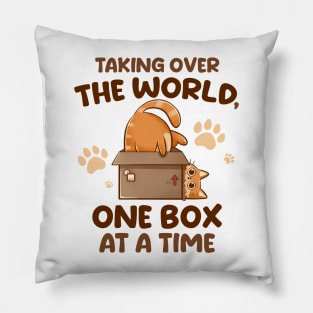 Taking Over the World, One Box at a Time - Cute Funny Cat Gift Pillow