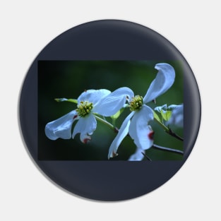 Dogwood Blossom Pin