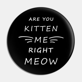 Are You Kitten Me Right Meow Pin