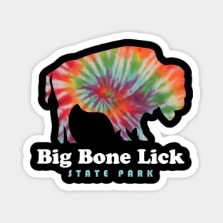 Big Bone Lick State Park Kentucky Bison Tie Dye Fossils Magnet