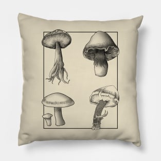 Botanical Mushrooms lineart Pillow