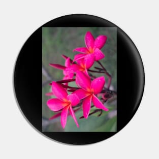 plumeria-flowers-frangipani-floral-blossom-purple-shirtyshirto-23 Pin