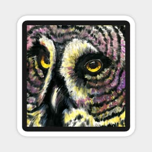 Great Gray Owl Magnet