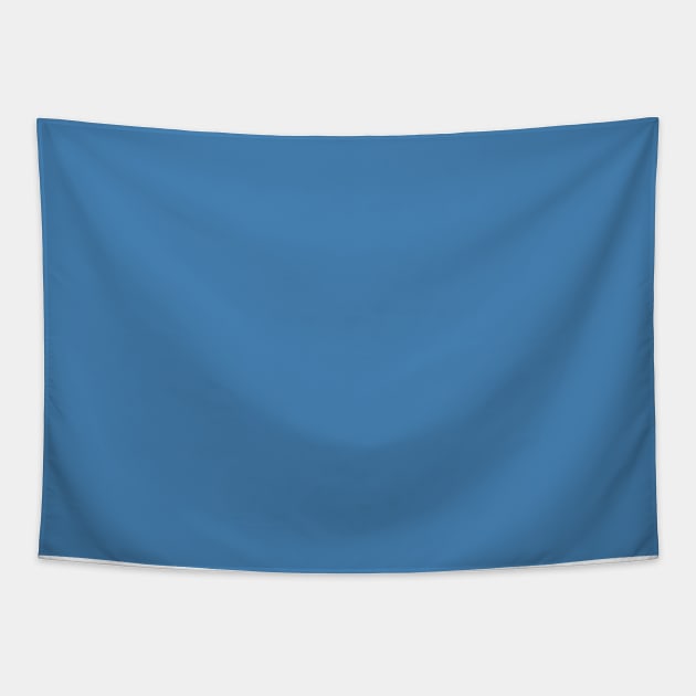 Steel Blue Plain Solid Color Tapestry by squeakyricardo