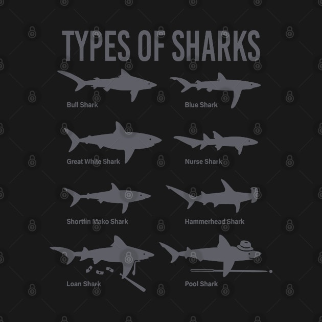 Types of Sharks by nze pen